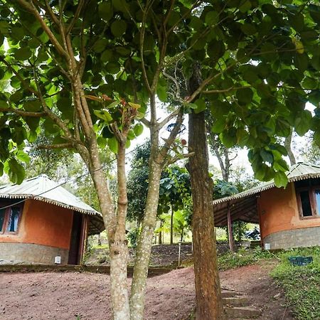 Punarjani Ayurvedic Resorts Ramakkalmedu Eksteriør bilde