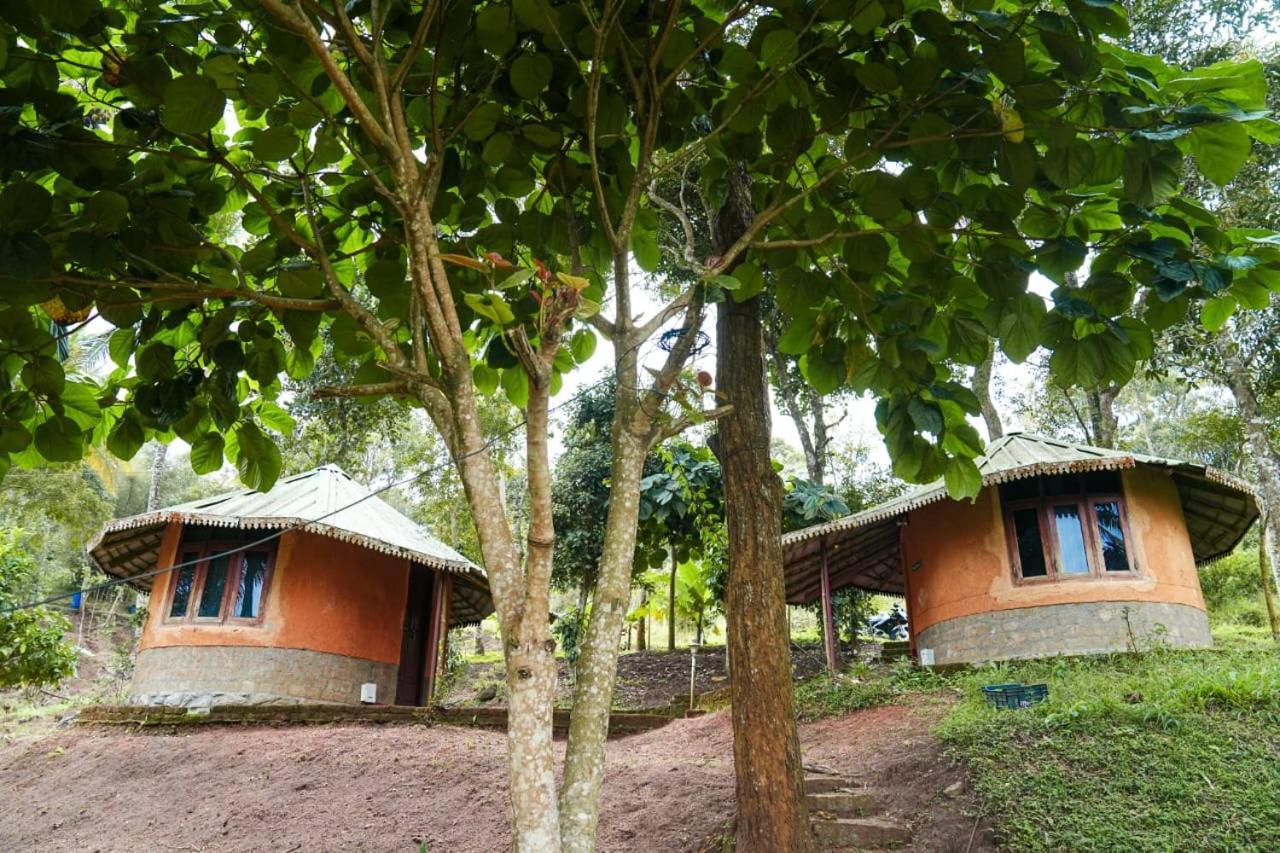 Punarjani Ayurvedic Resorts Ramakkalmedu Eksteriør bilde