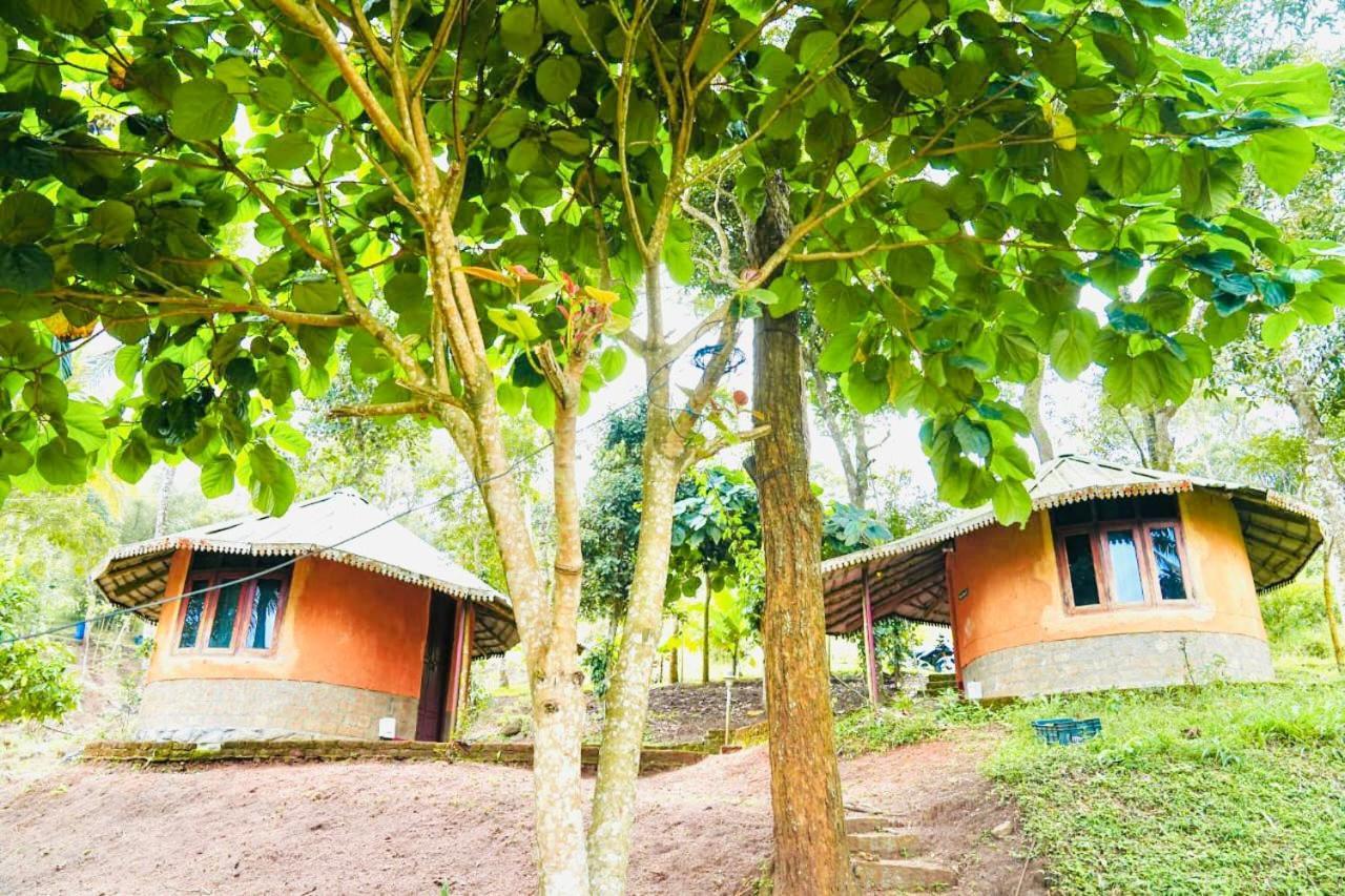 Punarjani Ayurvedic Resorts Ramakkalmedu Eksteriør bilde